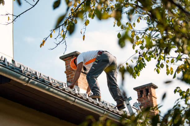 Roof Gutter Cleaning