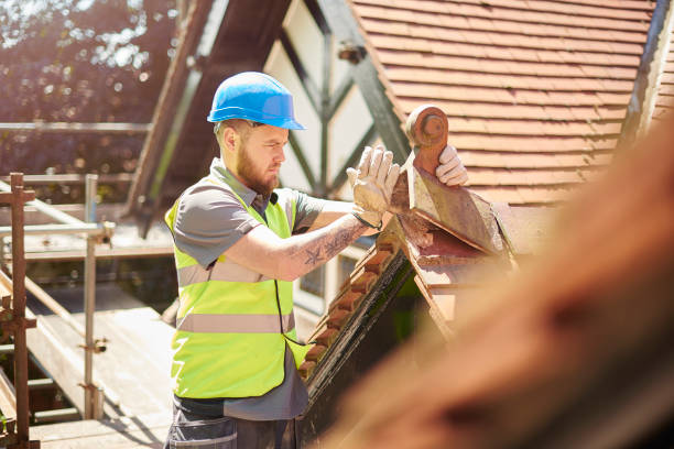 Best Roof Gutter Cleaning  in Velda City, MO